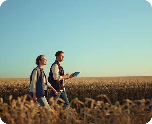 Two people standing in a field of tall crops at sunset